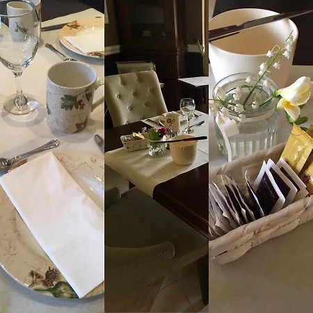 Thanhoffer * Siófok